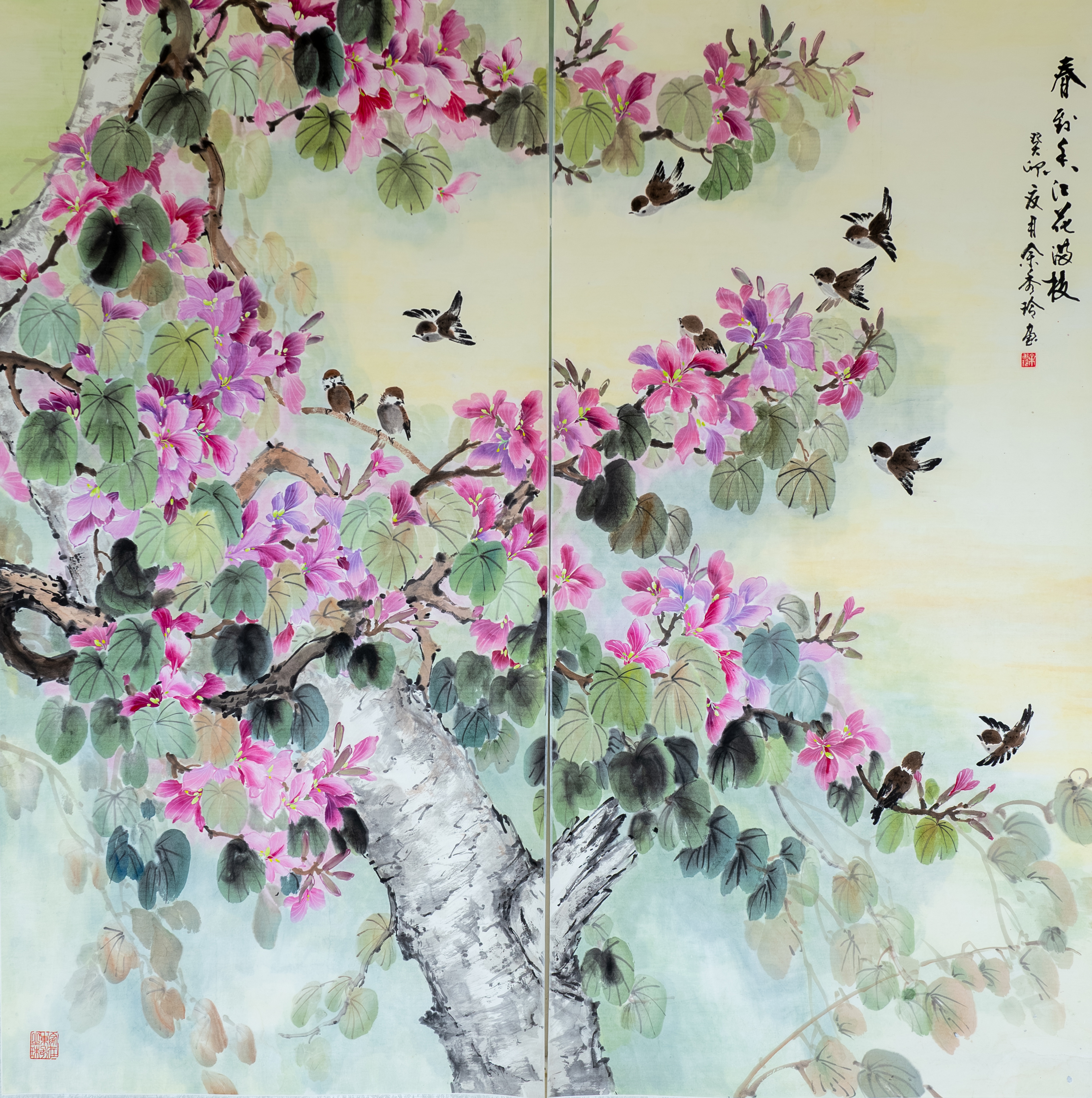 春到香江花滿枝